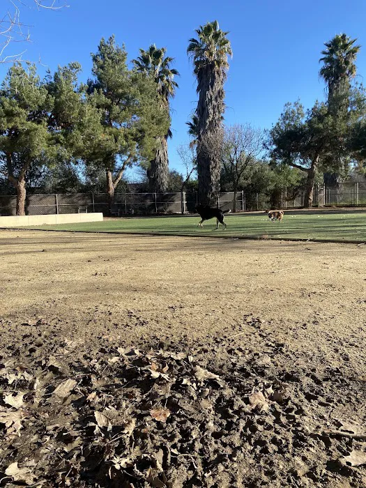 Miyuki Dog Park 7