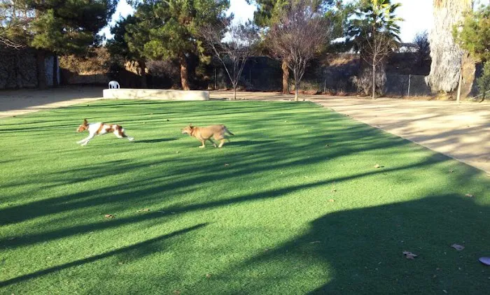 Miyuki Dog Park 4