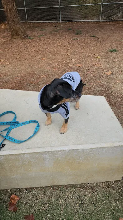 Miyuki Dog Park 8