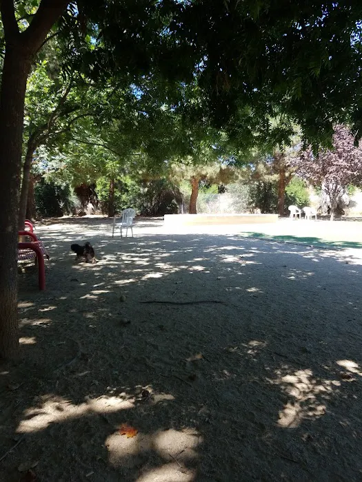 Miyuki Dog Park 9