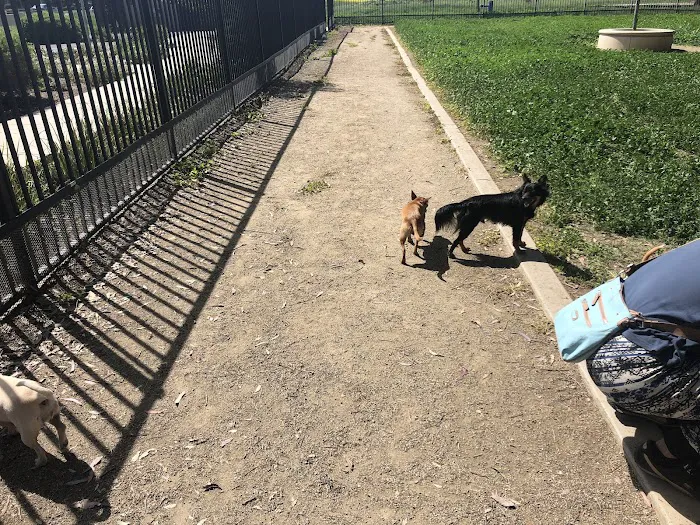 Merced Dog Park 2