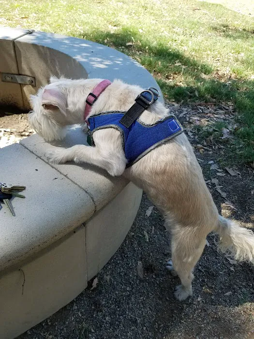 Merced Dog Park 7