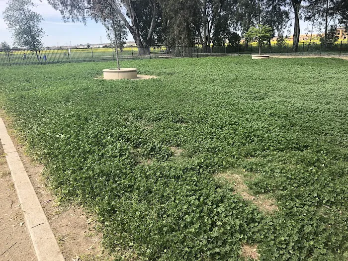 Merced Dog Park 6