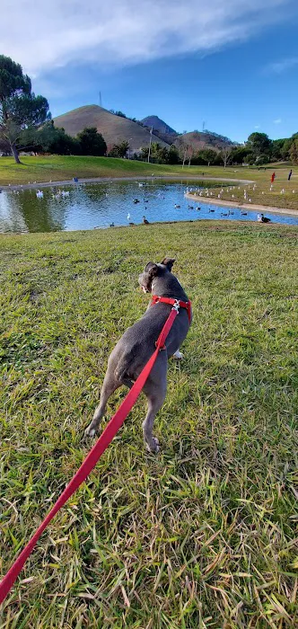 Morgan Hill Dog Park 1