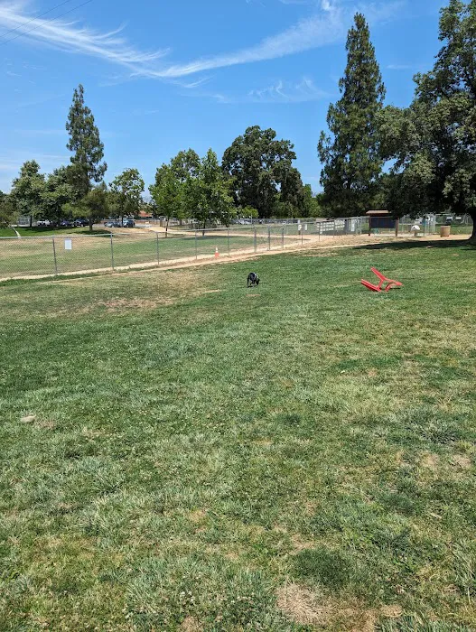Morgan Hill Dog Park 6