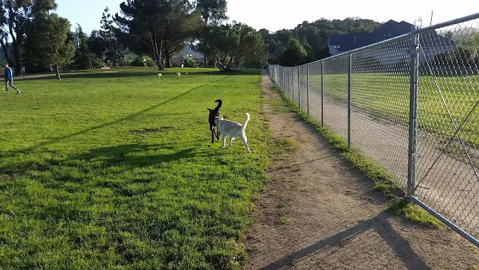 Morgan Hill Dog Park 3