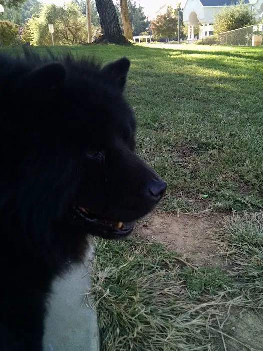 Morgan Hill Dog Park 8