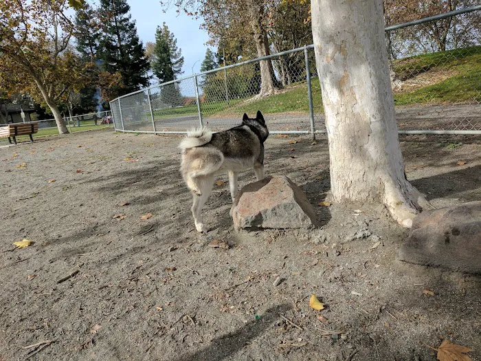 Las Animas Dog Park 6