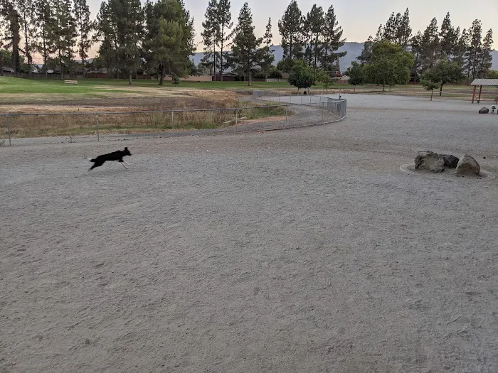 Las Animas Dog Park 5