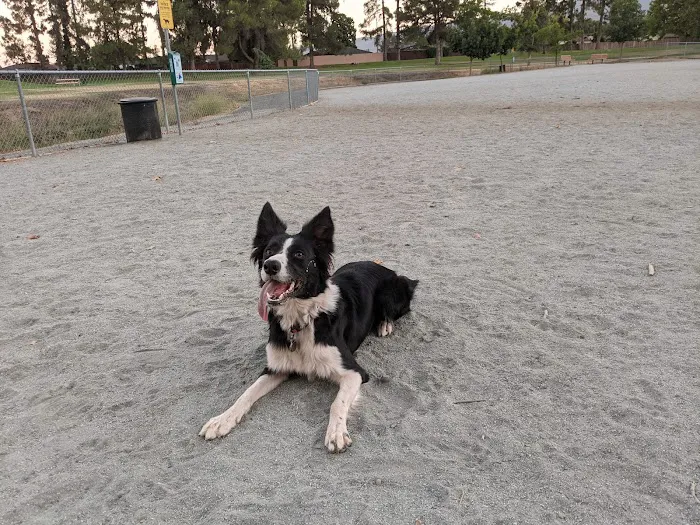 Las Animas Dog Park 2