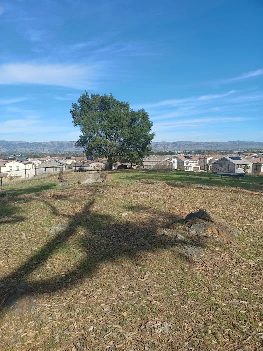 Glen Loma Ranch Dog Park 2