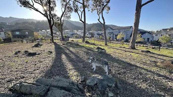 Glen Loma Ranch Dog Park 3