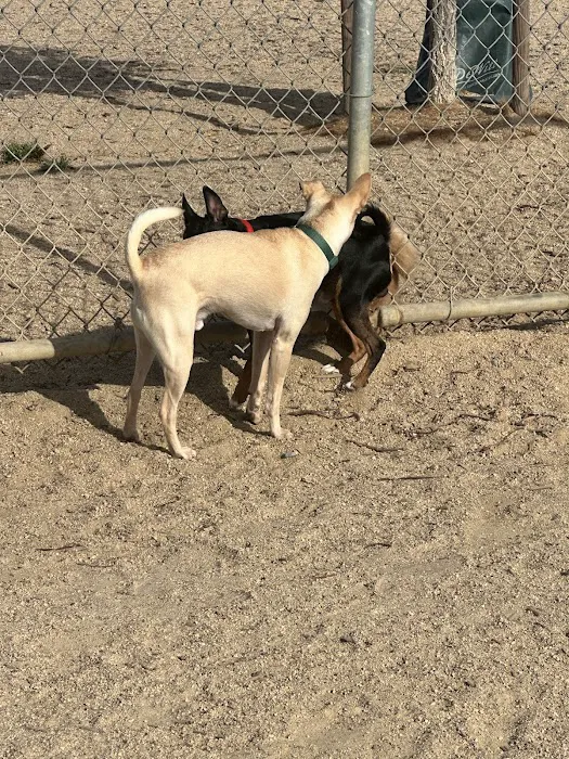 Franich Dog Park Watsonville 3