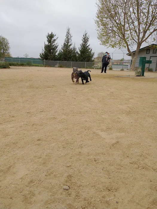Franich Dog Park Watsonville 7