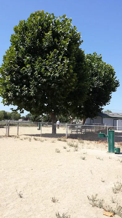 Franich Dog Park Watsonville 6