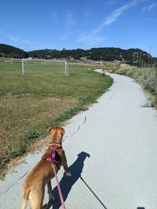 Aromas Dog Park 7