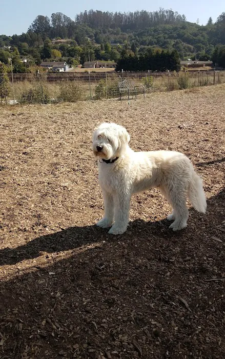 Aromas Dog Park 6