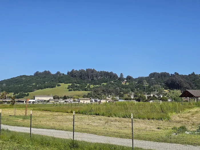 Aromas Dog Park 2