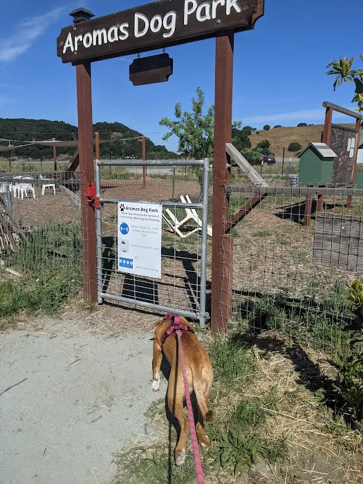 Aromas Dog Park 4