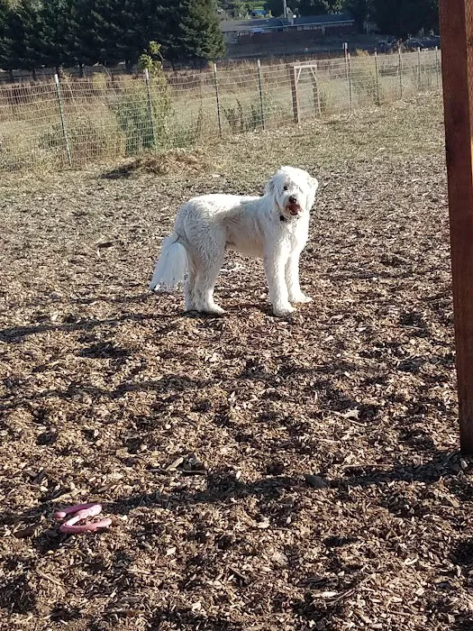 Aromas Dog Park 1