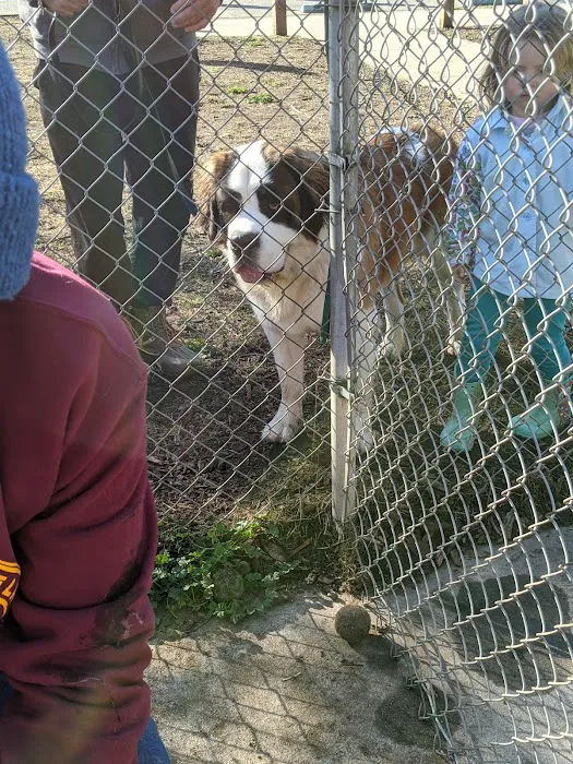Polo Grounds Dog Park 6