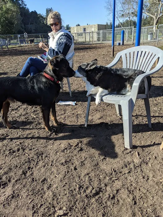 Polo Grounds Dog Park 3