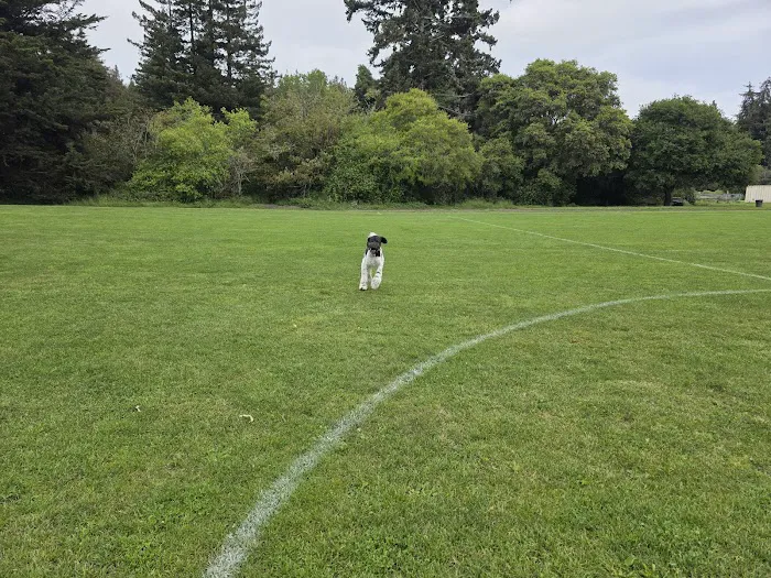 Polo Grounds Dog Park 4
