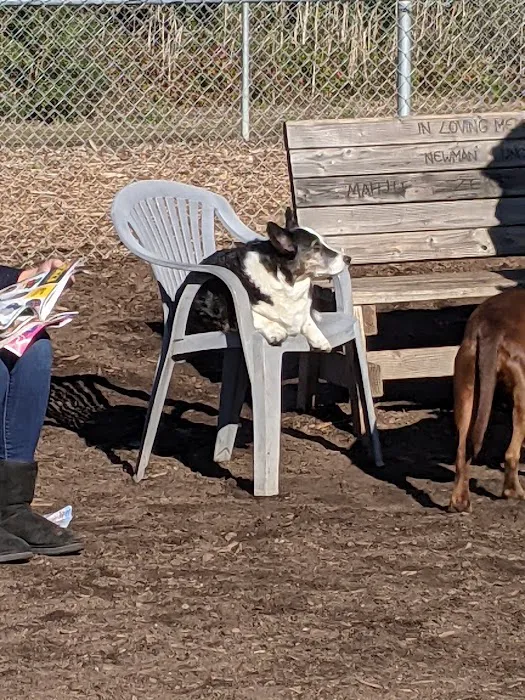 Polo Grounds Dog Park 2