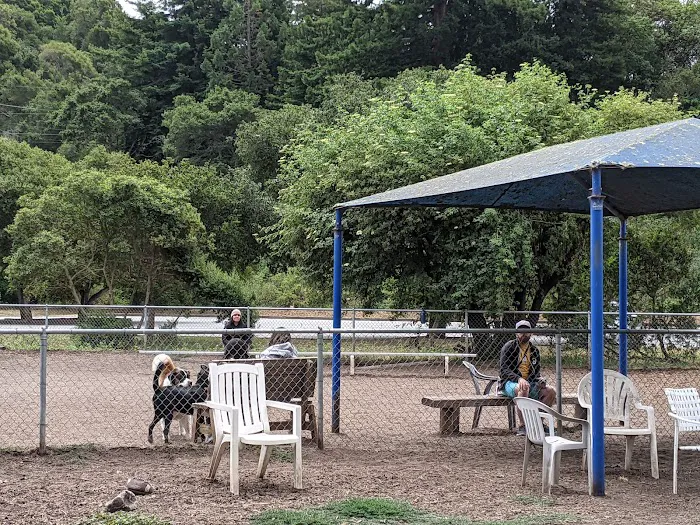 Polo Grounds Dog Park 8
