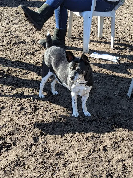 Polo Grounds Dog Park 9
