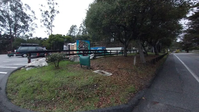 Ozzi & Josh's Dog Park 5