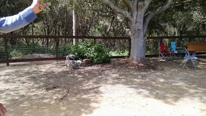 Ozzi & Josh's Dog Park 7