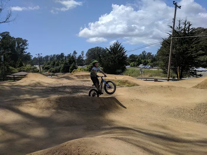 Ozzi & Josh's Dog Park 3
