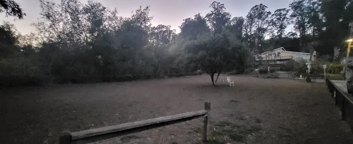 Pacheco Dog Park 2