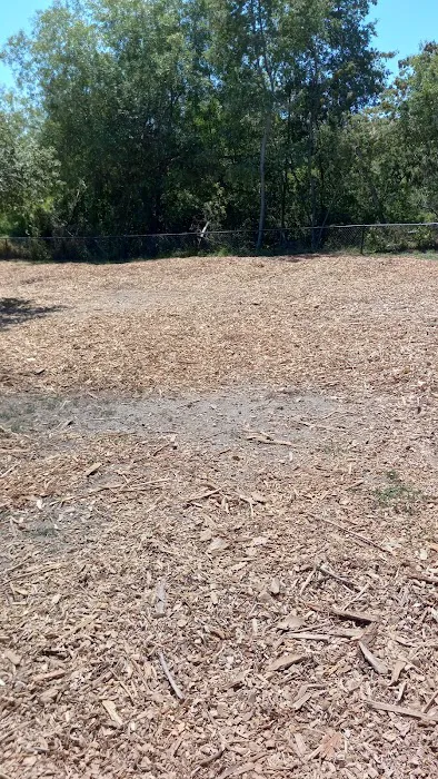 Pacheco Dog Park 3