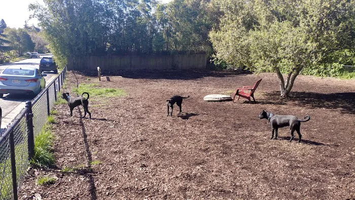 Pacheco Dog Park 10