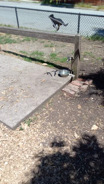 Pacheco Dog Park 4