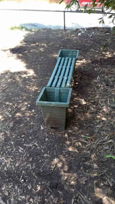 Pacheco Dog Park 1