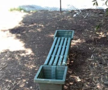 Pacheco Dog Park