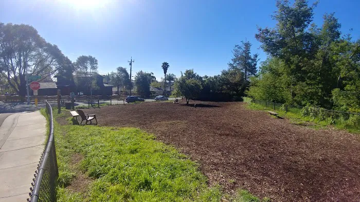 Pacheco Dog Park 6