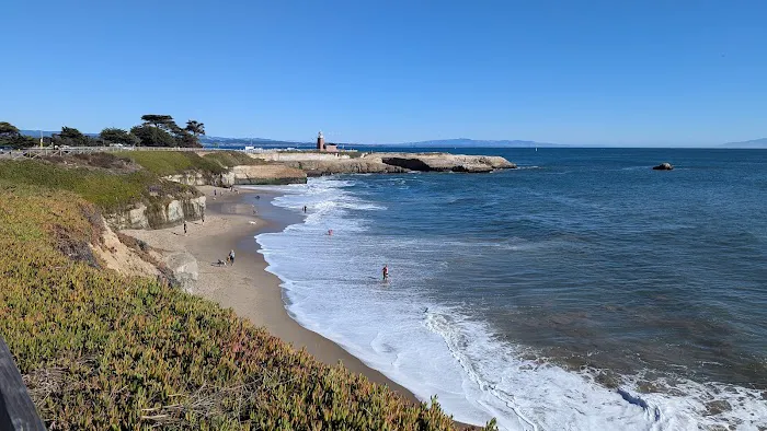 West Cliff Dog Park 9