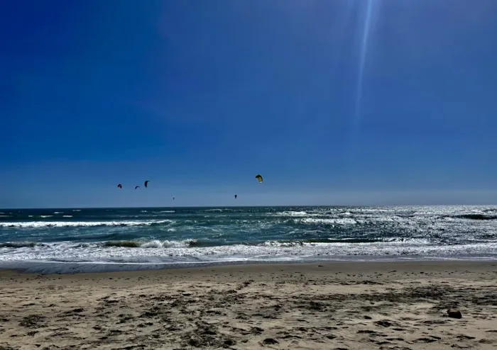West Cliff Dog Park 1