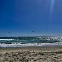West Cliff Dog Park ico