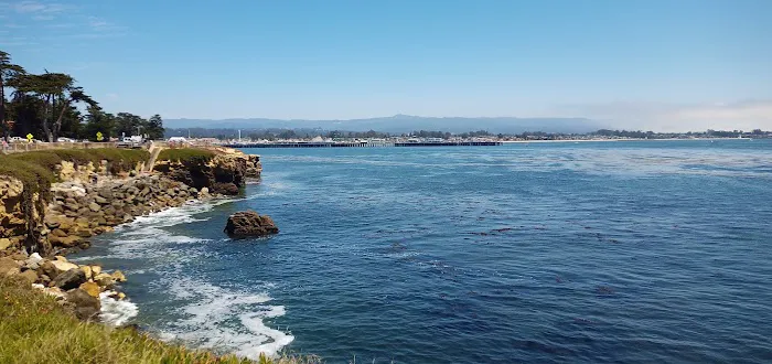 West Cliff Dog Park 6