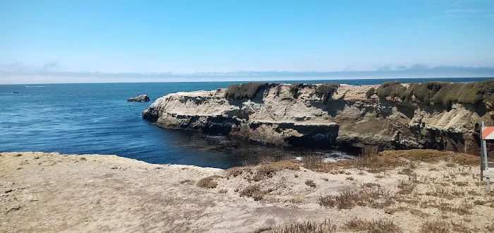 West Cliff Dog Park 4