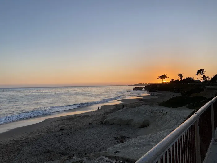 West Cliff Dog Park 10