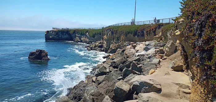 West Cliff Dog Park 3