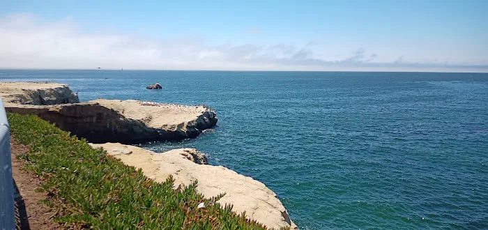 West Cliff Dog Park 2