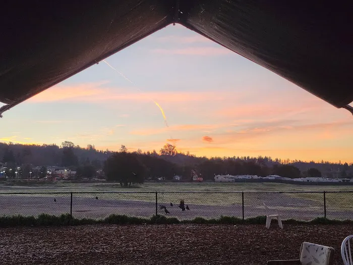 Skypark Dog Park 10