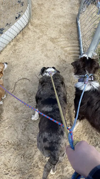 Schoonover Dog Park 5